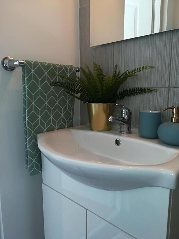 בוקרשט Guesthouse Smart מראה חיצוני תמונה