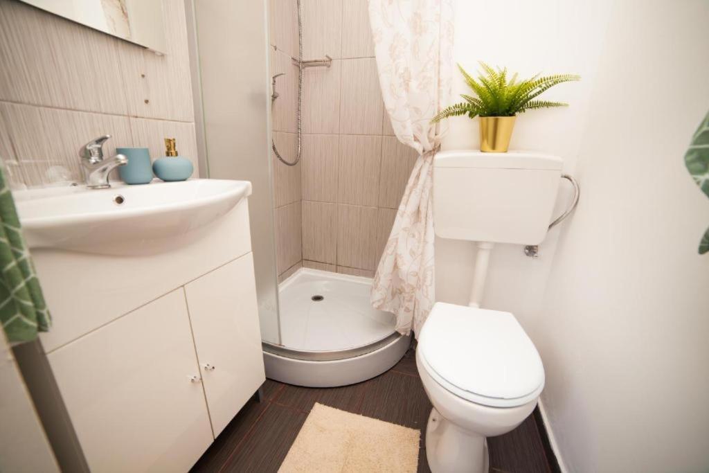 בוקרשט Guesthouse Smart מראה חיצוני תמונה